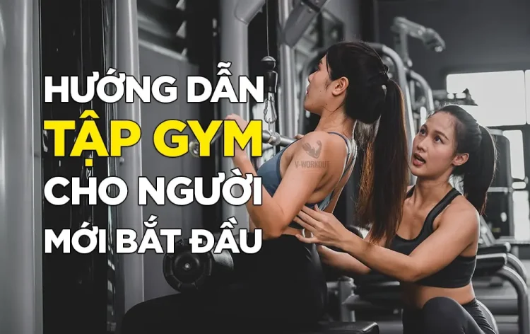 Hướng Dẫn Tập Gym Cho Người Mới Bắt Đầu