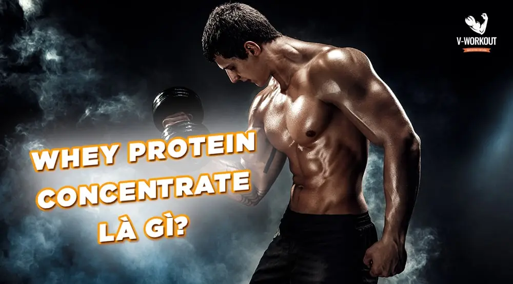 Whey Concentrate